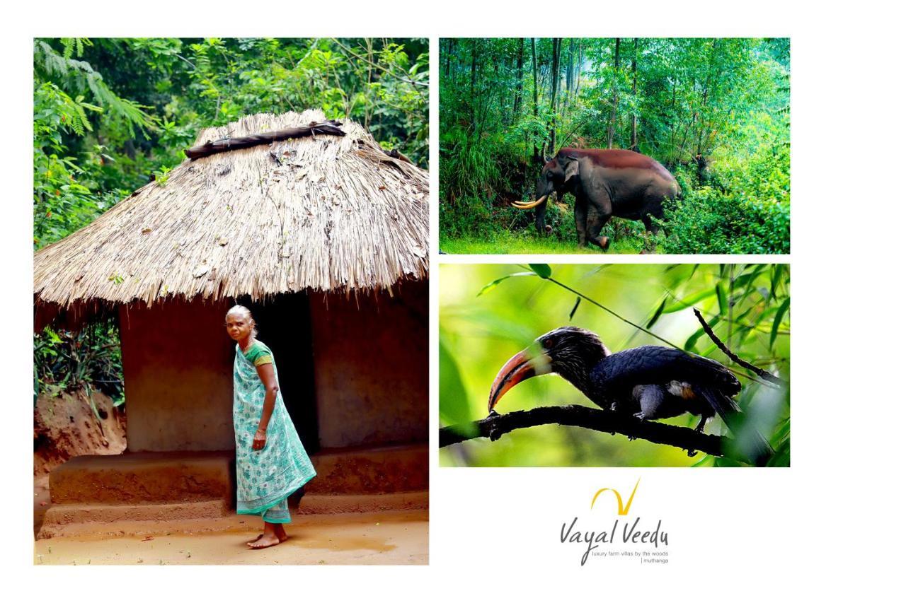 Vayal Veedu - Luxury Farm Villas By The Woods Muthanga 외부 사진