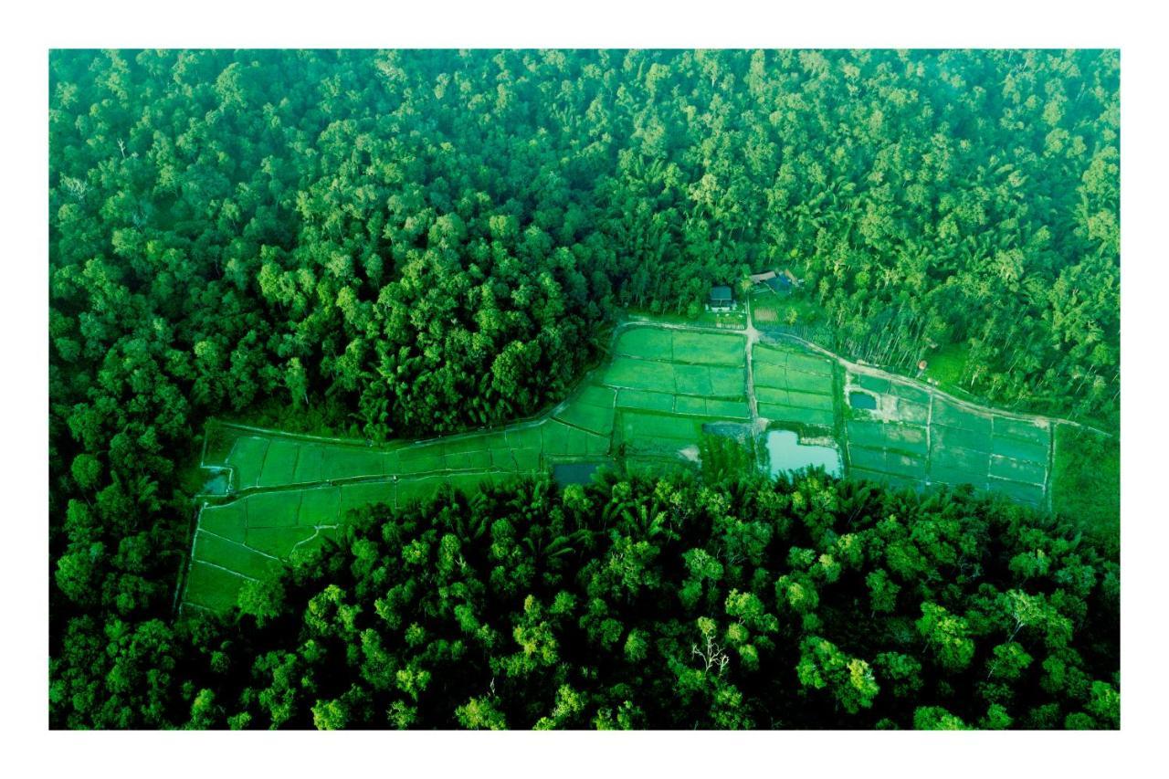 Vayal Veedu - Luxury Farm Villas By The Woods Muthanga 외부 사진